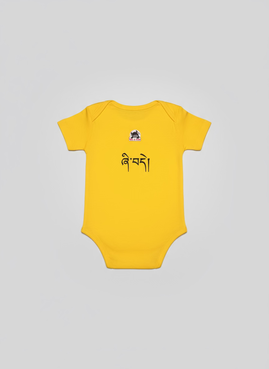 Graphic Baby Onesies